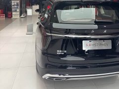 Hongqi HS7 PHEV 2024 2.0T PHEV four-wheel drive Qichang version 7 seats - photo 6
