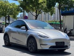 Tesla Model Y Long Range All-Wheel Drive - ფოტო 1