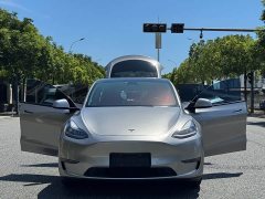 Tesla Model Y Long Range All-Wheel Drive - ფოტო 17