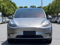 Tesla Model Y Long Range All-Wheel Drive - ფოტო 2