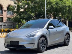 Tesla Model Y Long Range All-Wheel Drive - ფოტო 3