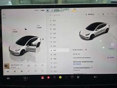 Tesla Model 3 2022 Rear-Wheel Drive - ფოტო 3