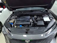 Changan Yida Blue Whale NE 1.5T GDI DCT Navigator - ფოტო 20
