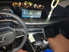 Changan Eado PLUS 1.4T Dual-Clutch High-Performance Edition - ფოტო 6