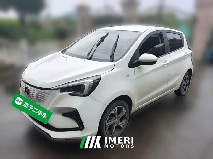 Changan Benni E-Star 2020 Xindong Edition Ternary Lithium