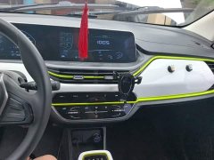 Changan Benni E-Star 2020 Xindong Edition Ternary Lithium - ფოტო 6