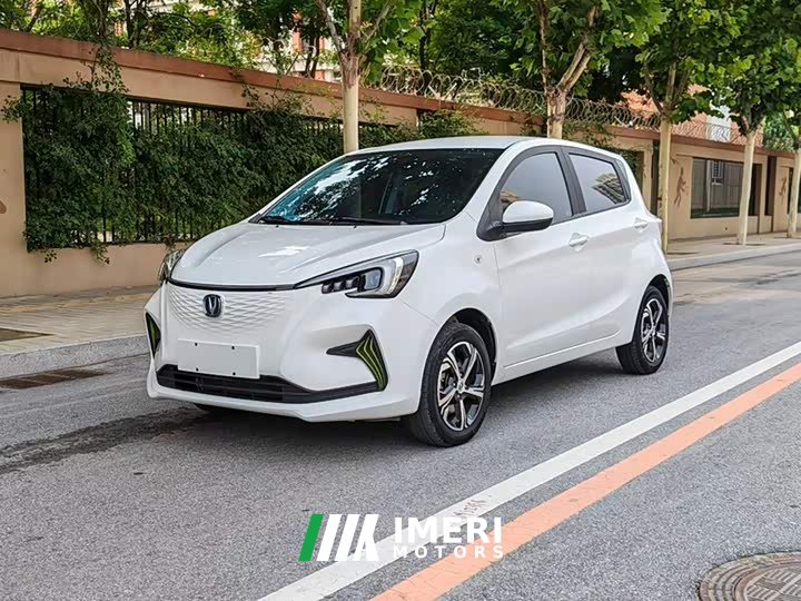 Changan Benben E-Star 2020 Heartbeat Edition ternary lithium - ავტომობილი ჩინეთიდან