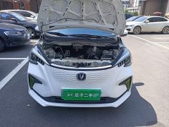 Changan Benben E-Star 2020 Heartbeat Edition ternary lithium - ფოტო 11