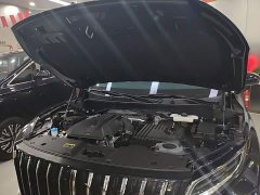 Hongqi HS7 PHEV 2024 2.0T PHEV AWD Qichang Edition 7-Seater - photo 20