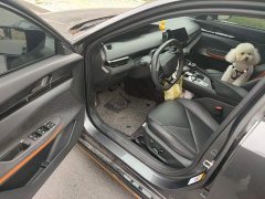 Changan UNI-V 2022 1.5T sports version - ფოტო 14