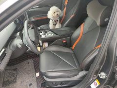 Changan UNI-V 2022 1.5T sports version - ფოტო 8