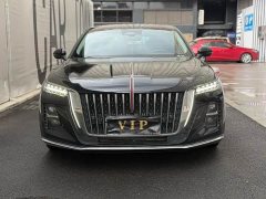 Hongqi H5 2023 2.0T Automatic Zhilianqichang Edition - photo 2