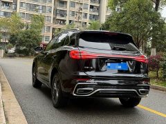 Hongqi HS5 2025 2.0T two-wheel drive Qixiang Pro version - ფოტო 18