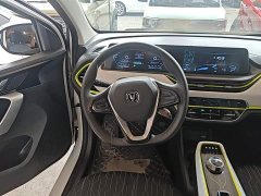 Changan Benben E-Star 2020 Heartbeat Edition ternary lithium - ფოტო 11