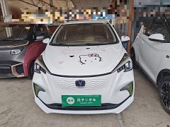 Changan Benben E-Star 2020 Heartbeat Edition ternary lithium - ფოტო 3