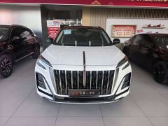 Hongqi HS3 2023 1.5T two-wheel drive good version - photo 2