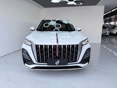 Hongqi HS5 2023 2.0T 4WD Qiling Pro Edition - ფოტო 2