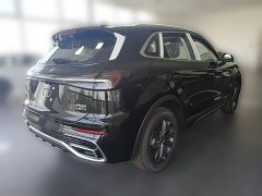 Hongqi HS5 2025 2.0T two-wheel drive Qixiang Pro version - ფოტო 12