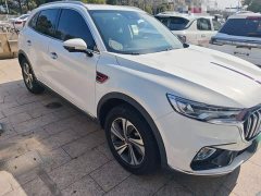 Hongqi HS5 2019 2.0T Zhilian Flagship Edition - ფოტო 4