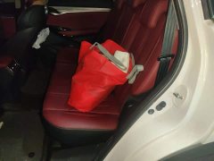 Changan CS75PLUS 2022 Classic Edition 1.5T Automatic Pioneer Type - ფოტო 14