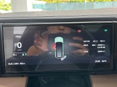 NIO ES8 2020 485KM Signature Edition Seven-Seater Edition - ფოტო 12