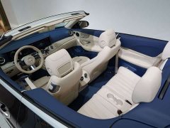 Mercedes-Benz E-Class (Imported) E 260 Cabriolet - ფოტო 14