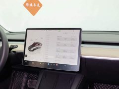 Tesla Model 3 2022 Rear-Wheel Drive - ფოტო 12