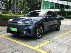 Ford Electric Horse 2021 Borderless Rear-Drive Deluxe Edition (Long Range) - ფოტო 1