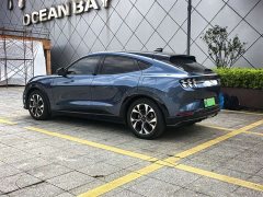 Ford Electric Horse 2021 Borderless Rear-Drive Deluxe Edition (Long Range) - ფოტო 16