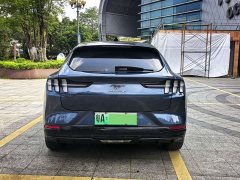 Ford Electric Horse 2021 Borderless Rear-Drive Deluxe Edition (Long Range) - ფოტო 17