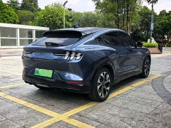 Ford Electric Horse 2021 Borderless Rear-Drive Deluxe Edition (Long Range) - ფოტო 18