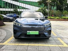 Ford Electric Horse 2021 Borderless Rear-Drive Deluxe Edition (Long Range) - ფოტო 2