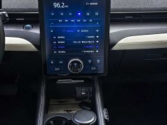 Ford Electric Horse 2021 Borderless Rear-Drive Deluxe Edition (Long Range) - ფოტო 6