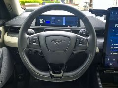 Ford Electric Horse 2021 Borderless Rear-Drive Deluxe Edition (Long Range) - ფოტო 9