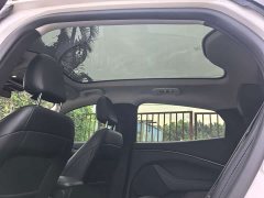 Ford Electric Horse 2021 Rear-wheel drive version (standard range) - photo 11
