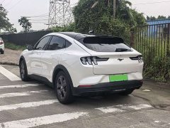 Ford Electric Horse 2021 Rear-wheel drive version (standard range) - photo 13