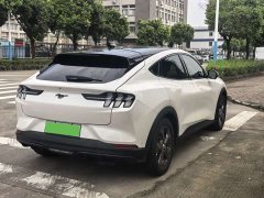 Ford Electric Horse 2021 Rear-wheel drive version (standard range) - photo 14