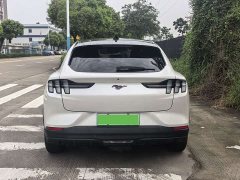 Ford Electric Horse 2021 Rear-wheel drive version (standard range) - photo 15