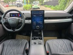 Ford Electric Horse 2021 Rear-wheel drive version (standard range) - photo 5