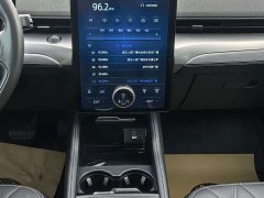 Ford Electric Horse 2021 Rear-wheel drive version (standard range) - photo 6