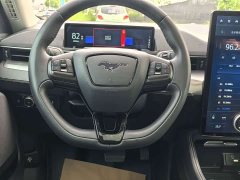 Ford Electric Horse 2021 Rear-wheel drive version (standard range) - photo 7