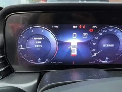 Hongqi HS5 2023 Qixiang Pro Edition - ფოტო 18