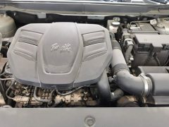 Hongqi HS5 2023 2.0T four-wheel drive Qixiang Pro version - ფოტო 10