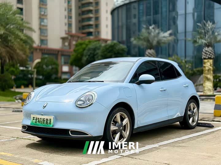 ORA Good Cat 2021 400km Standard Range Venus Edition Ternary Lithium - ავტომობილი ჩინეთიდან