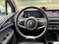 ORA Good Cat 2021 400km Standard Range Venus Edition Ternary Lithium - ფოტო 11