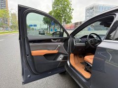 BYD Yuan Plus DM-i Champion Edition 112KM Deluxe - ფოტო 6