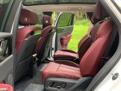 Hongqi E-HS9 2021 Qixian Edition 6-Seater - ფოტო 13