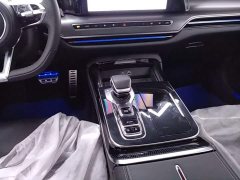 Hongqi H9 2024 2.0T Qichang Private Fashion Edition - ფოტო 14