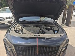 Hongqi H5 2025 2.0T automatic Qichang version - ფოტო 16