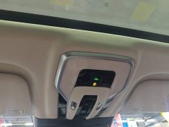 FAW Hongqi E-HS9 2021 Qixiang Edition 6-Seater 460km - ფოტო 18